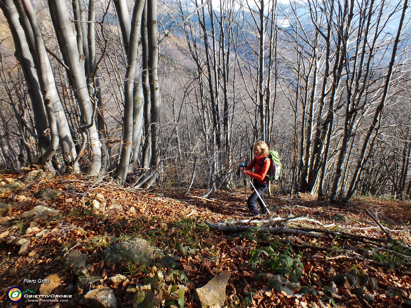 20 Il sentiero finisce, saliamo per il ripido bosco ....JPG